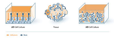 Check spelling or type a new query. Biosilk 521 Biolamina