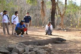 Punya banyak makanan, tapi kalau orang minta, bukan dia kursus apa kalau kita buka di london tidak akan laku? Proyek Jurassic Park Pulau Komodo Sudah Dapat Restu Unseco