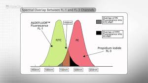 The Basic Facs About Aldefluor A Guide To Successful Flow Cytometry Analysis