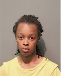 ᐅ Illinois Criminal Records 2009-2025