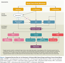 Breast cancer — comprehensive overview covers prevention, symptoms, diagnosis and breast cancer survival rates have increased, and the number of deaths associated with this disease is cells may spread (metastasize) through your breast to your lymph nodes or to other parts of your body. Multidisciplinary Management Of Breast Cancer Brain Metastases