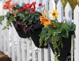 We did not find results for: 2 Pack Black Freebie Bloem Hanging Garden Planter System 3 Pack Gardening Pots Planters Container Accessories Amaltheiayada Gr