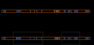 DNA Methylation Changes During Aging and in Age-Associated Diseases