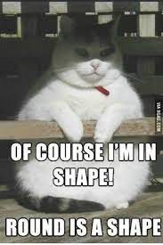 Pin On Funny