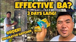 Presentation Breeder Signals EN 720p