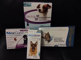 Once your puppy reaches 8 weeks of age you can use a top spot flea product such as advantage, front line or revolution. Flea And Tick Myths Busted Veterinarians Westminster Maryland Carroll County Veterinary Clinic