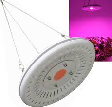 Although this ufo led grow light offers the red, blue, and white lights your plants want and need, it's probably best suited for the seed stage. 500w Ultra Thin Ufo Indoor Plants Flower Full Spectrum Led Grow Light Bulb Lamp Buy 500w Ultra Thin Ufo Indoor Plants Flower Full Spectrum Led Grow Light Bulb Lamp In Tashkent And Uzbekistan