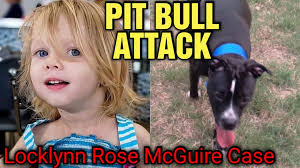 🚨Pit Bull Attack –Death of Locklynn Rose McGuire A tragic Oklahoma City  case raising questions about child welfare & DHS oversight Watch the full  breakdown here 👉 https://t.co/UzOnRbC4W7 #PitBullAttack #OklahomaTrueCrime  #LocklynnRoseMcGuire ...