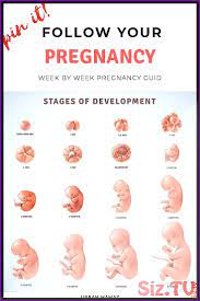 Pin On Baby Development Activities For Moms