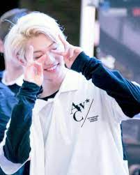 Pin By Sarah On Stray Kids Felix Stray Kids Felix Kids Pictures