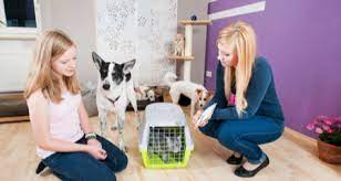 Your pets will get all the attention they need without leaving home. 4 Benefits Of In Home Pet Care Petcoach