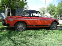 Image result for Flamenco 1978 MG