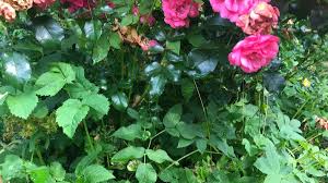 200+ länder, ständig aktualisiert & verlässlich. Eycamt0gls3whm