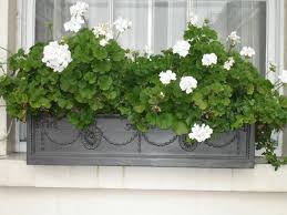 See more ideas about flower pots, container gardening, container plants. Adam Window Flower Box Faux Lead Fiberglass Trough Xl Faux Lead Planter Pot In Out H21 L153 W27 Cm 87 Ltrs Cap From 237 00 Getpotted Com
