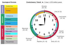 Geological Time Clock Geologic Time Scale Geology History Of Earth