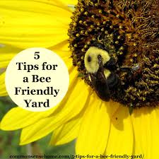 Bees produce honey from the sugary secretions of plants (floral nectar) or from secretions of other insects. 5 Tips For A Bee Friendly Yard Do Your Part To Save The Bees