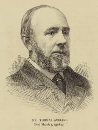 Image of Louis Maas (engraving) by American School, (19th century)