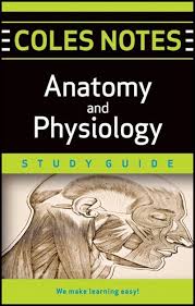 Coles Notes Study Guides Anatomy And Physiology Anatomy And Physiology Physiology Nurse Study Notes