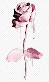 Maybe you would like to learn more about one of these? Flower Rose Gold Flower Iphone Png Dripping Water Png Free Transparent Png Images Pngaaa Com