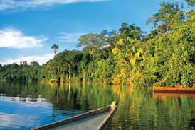 Ubicado en el límite de las regiones puno y madre de dios, conserva. Madre De Dios Mapi Peru Travel Agency