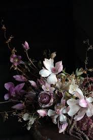 Magnolia Beautiful Flowers Flowers Flower Arrangements