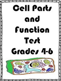 Check spelling or type a new query. Plant And Animal Cell Test By Tucker S Teaching Tools Tpt