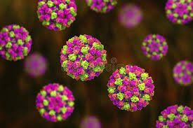 Glass r.i., parashar u.d., estes m.k. Norovirus Wintererbrechenwanze Rns Virus Von Caliciviridae Familie Erreger Der Gastroenteritis Stock Abbildung Illustration Von Baumuster Medizin 117165898