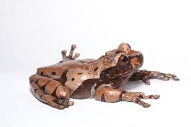 Image result for Trichopteryx stolziana