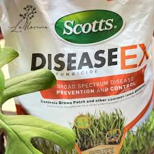 Like any other plant, grass is susceptible to fungal infections. Shopee Philippines Buy And Sell On Mobile Or Online Best Marketplace For You