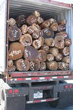 Wood stoves and fireplace inserts can be used to cook food over the fire generated by burning wood. Cook Woods One Of A Kind Exotics Service Woodworking Blog Videos Plans How To