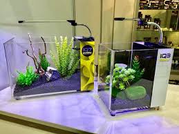 We did not find results for: Dymax Iq7 Mini Acrylic Aquarium 18l Aquatic Supplies Australia
