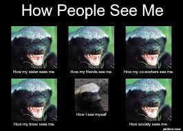How People See Me How My Perception Vs Fact Picloco