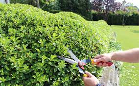 Ein garten ist pure lebenslust und freude, ein ort zum wohlfühlen und entspannen. Fachrichtung Garten Und Landschaftsbau Jsze Jardinsuisse Zentralschweiz Gartner Aus Luzern Ob Und Nidwalden Schwyz Uri Und Zug Jsze Jardinsuisse Zentralschweiz Gartner Aus Luzern Ob Und Nidwalden Schwyz Uri Und Zug