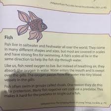 A snake has eyes but no eyelids. Factual Report Teks Fish Species Habitat Habits Physical Characteristics Emotional Brainly Co Id