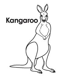 Aboriginal painting of wallaby coloring page. Kangaroo Coloring Page Worksheets Teaching Resources Tpt