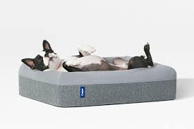 Casper Dog Mattress Dog Mattresses Dog Bed Luxury Pet Mattress