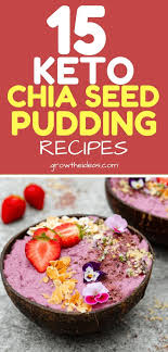 15 Keto Chia Seed Pudding Recipes Nutritious Desserts You Can Have Anytime Chia Seed Recipes Pudding Keto Chia Seed Recipes Recipes