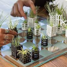 15 cactus garden ideas photos garden lovers club. 37 Garden Themed Gifts That Are Perfect For Plant Lovers Air Plants Glass Chess Set Miniature Plants