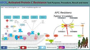 Image result for Protein C Deficiency