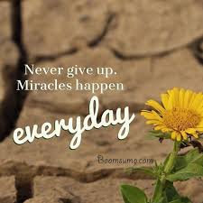 Short Quotes About Life Miracles Happen Everyday Cool Quotes About Life Life Is Too Short Quotes Quotes Deep Short Quotes Love