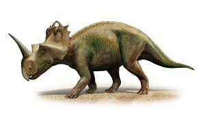 The bone pain is described as aching, throbbing, stabbing, and excruciating.this can lead to insomnia, loss of appetite, and inability to carry out normal daily activities. New Research Shows Dinosaurs Suffered From Malignant Cancer Too Npr