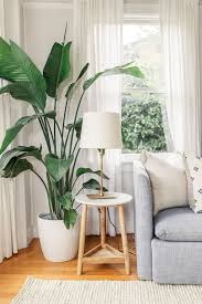 Indoor Plants Indoor Plants Decoration House Plants Mini Gardens Low Light Plants Ideas Minimalist Living Room Living Room Plants Apartment Living Room