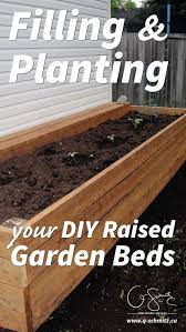 filling and planting diy raised gardens q schmitz blog diy raised garden raised garden beds diy raised garden