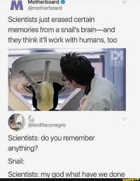 Scientists Just Erased Certain Memories From A Snail S Brain And They Think It Ll Work With Humans Too Scientists Do You Remember Anything Scientists My God Humor Funny Memes Stupid Funny