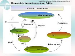 Perlu diutamakan bagi memastikan kestabilan dan keseimbangan sistem alam sekitar. Stesen 1 Keseimbangan Alam Sekitar Ppt Download