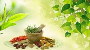 மூலிகை மருத்துவ மையம் | Facebook