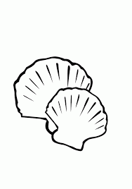 Print and color summer pdf coloring books from primarygames. Printable Seashell Coloring Pages Coloring Me Coloring Home
