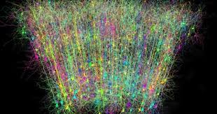 Mapping The Entire Brain With New And Improved Brainbow Ii Technology Human Brain Greatest Mysteries Writing Style Guide