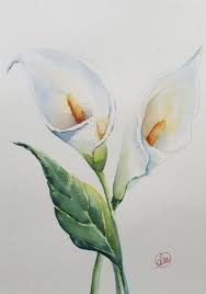 Calla Lily Watercolor Painting Calla Lilies Original Etsy Lilies Drawing Flower Painting Watercolor Paintings