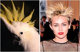 Thank you for becoming a member. 15 Celebrities Who Look Like Real Life Animals